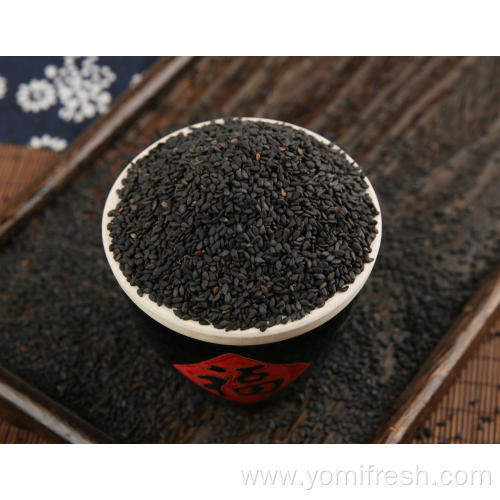 Black Sesame Plant